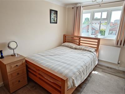 Picture 14